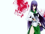 Saeko Busujima