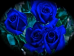 BUNCH OF BLUE ROSES