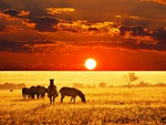 African Savannah