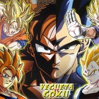 Vegeta v/s Goku