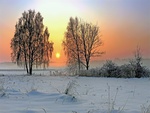 winter scene