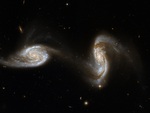 Interactive Spiral Galaxies