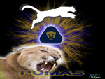 PUMAS UNAM
