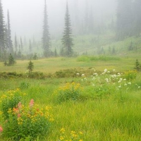 Meadows in the Sky Revelstoke National Park British Columbia Canada