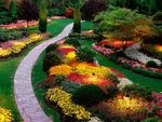 Butchart Gardens 