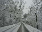 Quiet Snowy Winter Road