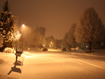 Snowy Night by Street Light