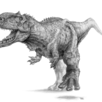 Rajasaurus