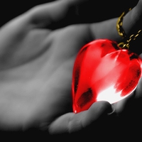 DON'T BREAK MY HEART