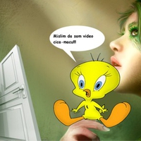 Tweety-Mod
