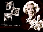 Marlene Dietrich