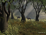 deers in the forest
