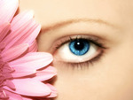 Blue eye and flower