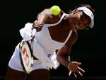 Venus Williams in Action