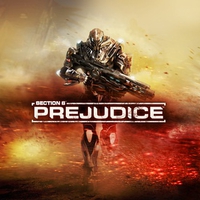 section_8_prejudice01