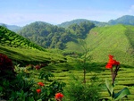 Malaysia Highlands