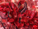 rose dragon