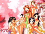 love hina