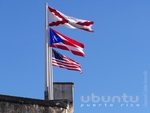 Puerto Rico Flag