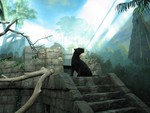 Ancient ruins and panther
