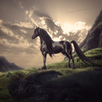 Everything The Light Touches Is My Kingdom