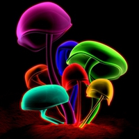 COLORFUL MUSHROOMS