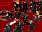 The Akatsuki Organization