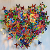 Love of butterflies