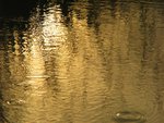 golden pond
