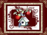 birdhouse love