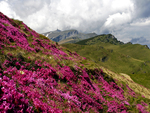 landscape from Bucegi Mountains-Romania