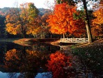 river in the fall