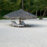 Best Of Times On Bora Bora