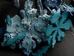 Makro Image of a Snow Crystals