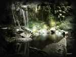 Enchanted_Forest