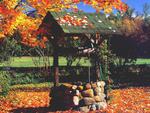 autumn  well