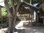NipaHut
