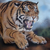 Painting - Wild and Free (kate Davies)