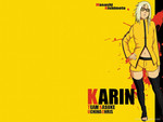 Kill Bill Karin