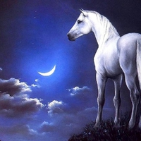 Painting - The White Horse