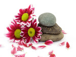 zen stones and daisies 2