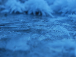Frozen Water