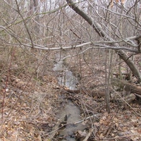 allegheny mountains 2