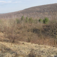 allegheny mountains 3