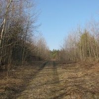 allegheny mountains 4