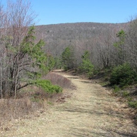 allegheny mountains 7