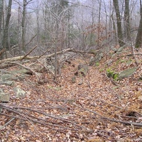 allegheny mountains 8