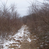 allegheny mountains 10