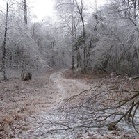 allegheny mountains 11