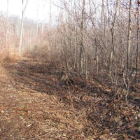 allegheny mountains 12